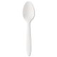 Mediumweight Polypropylene Cutlery, Teaspoon, White, 1000/Carton