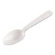Heavyweight Cutlery, Teaspoons, Plastic, White, 1000/Carton